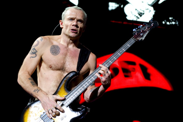 Flea